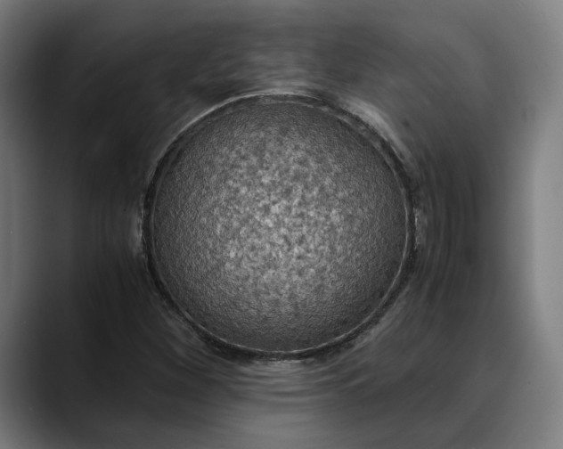 X0000089691260200707121330