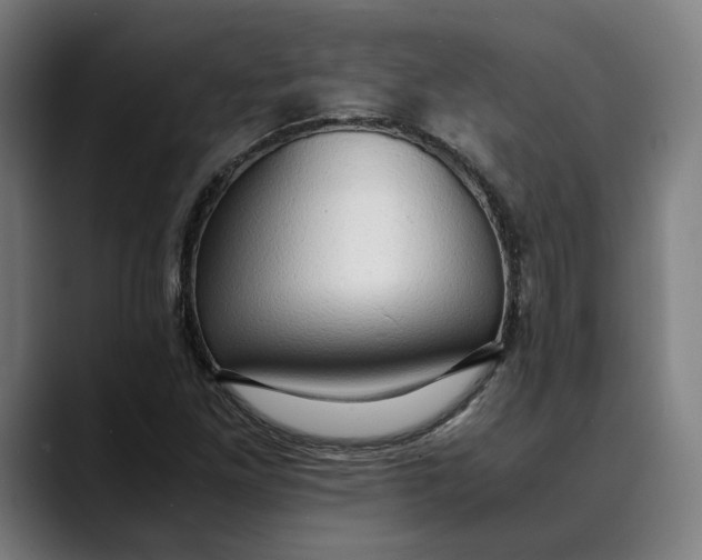 X0000089691261200707121330