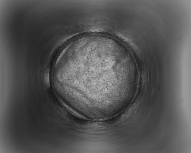 X0000089691262200707121330