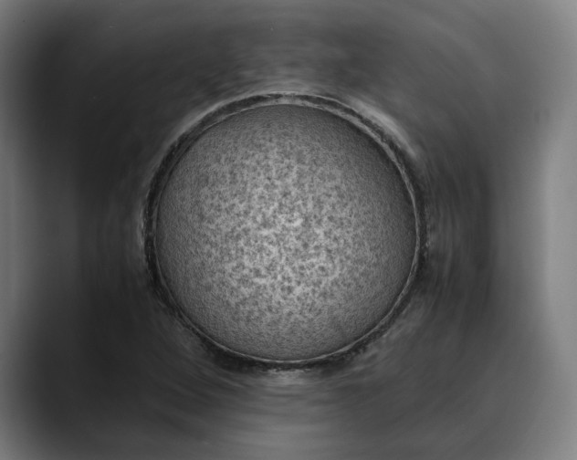 X0000089691264200707121330