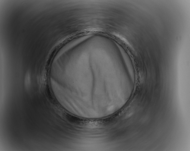 X0000089691266200707121330