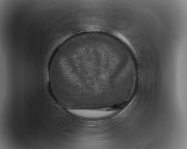 X0000089691269200707121330