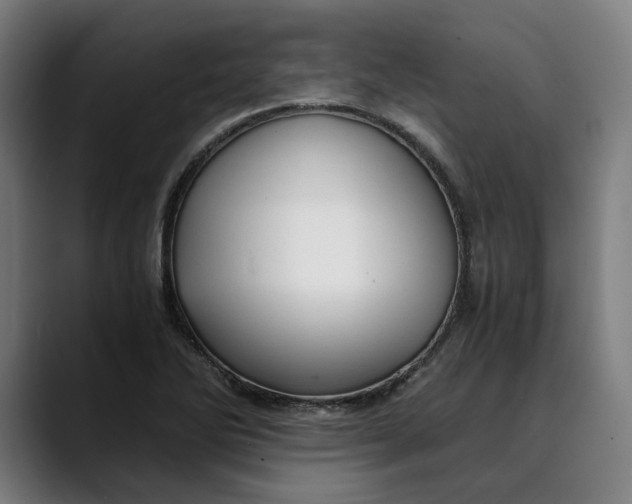 X0000089691270200707121330