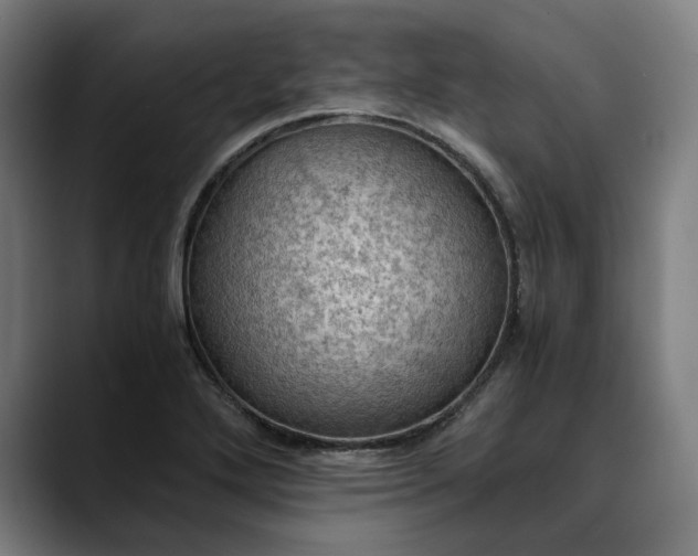 X0000089691272200707121329