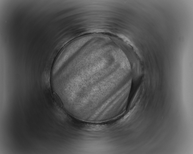 X0000089691273200707121329