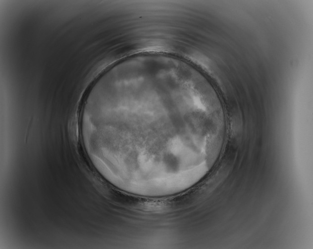 X0000089691274200707121329