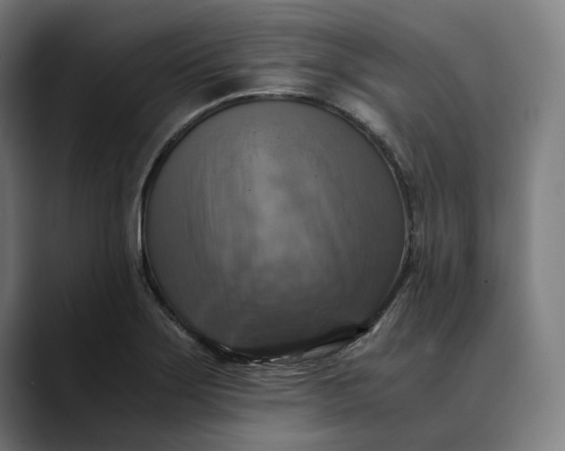 X0000089691275200707121329