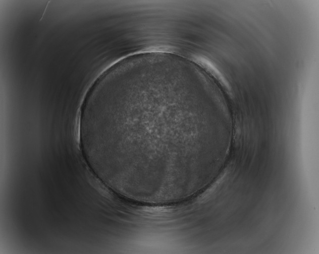 X0000089691276200707121329