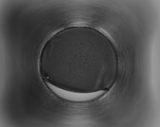 X0000089691277200707121329