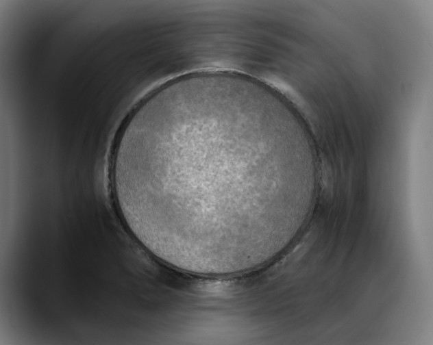 X0000089691278200707121329