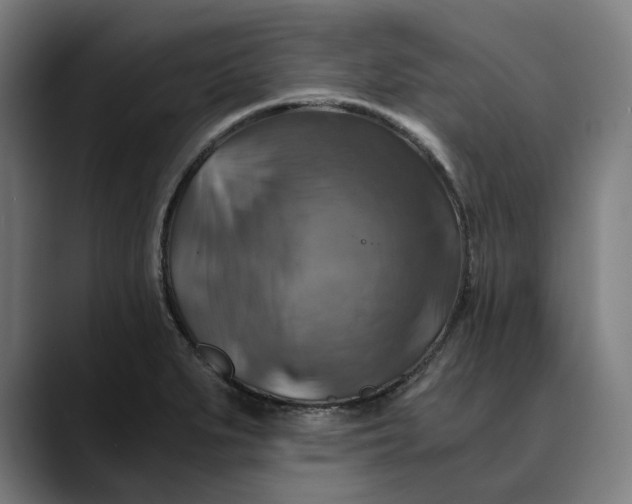 X0000089691279200707121329