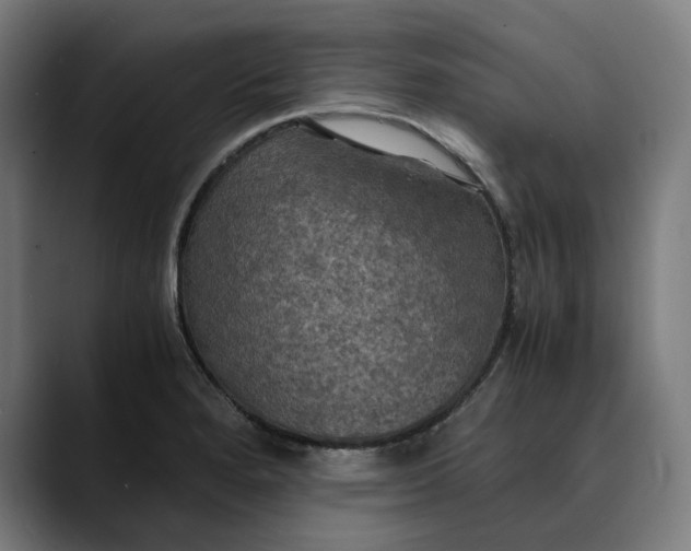 X0000089691280200707121329