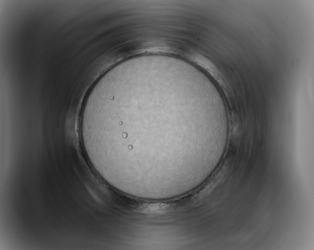 X0000089691282200707121329