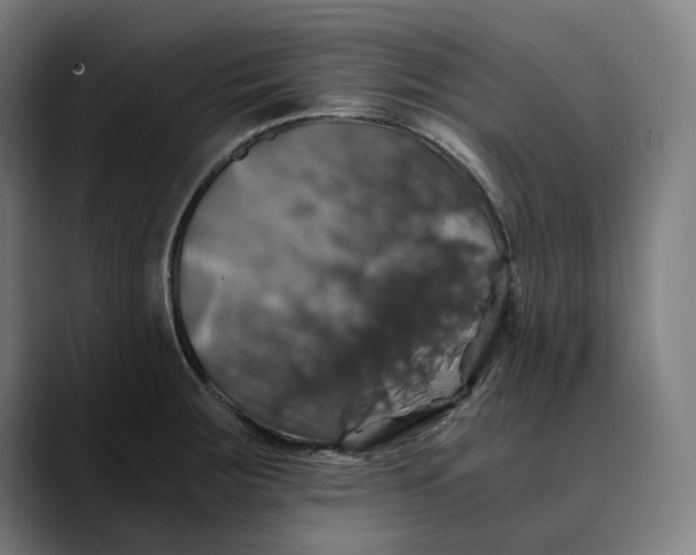 X0000089691283200707121329