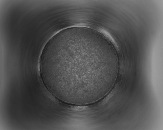 X0000089691284200707121329