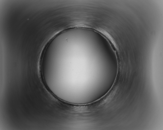 X0000089691285200707121329