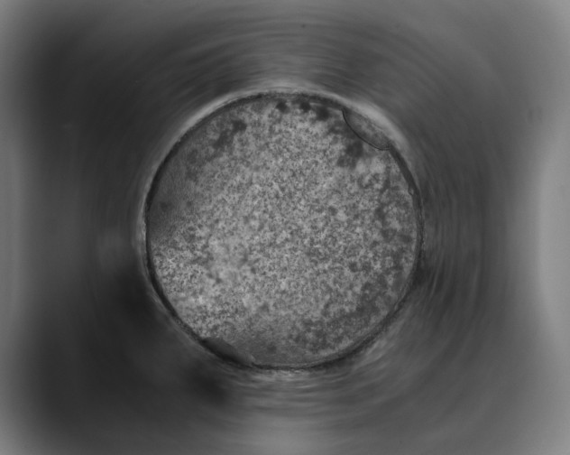 X0000089691287200707121329