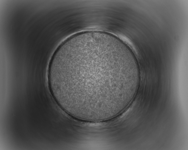 X0000089691288200707121329