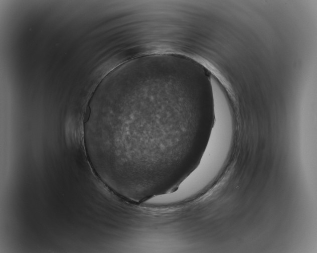 X0000089691289200707121329