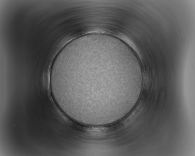 X0000089691290200707121329