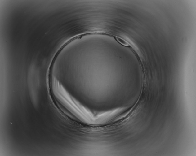 X0000089691291200707121329