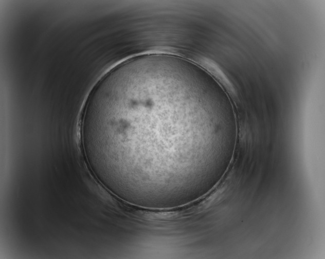 X0000089691292200707121329