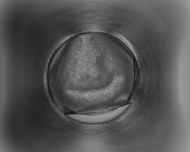 X0000089691293200707121329