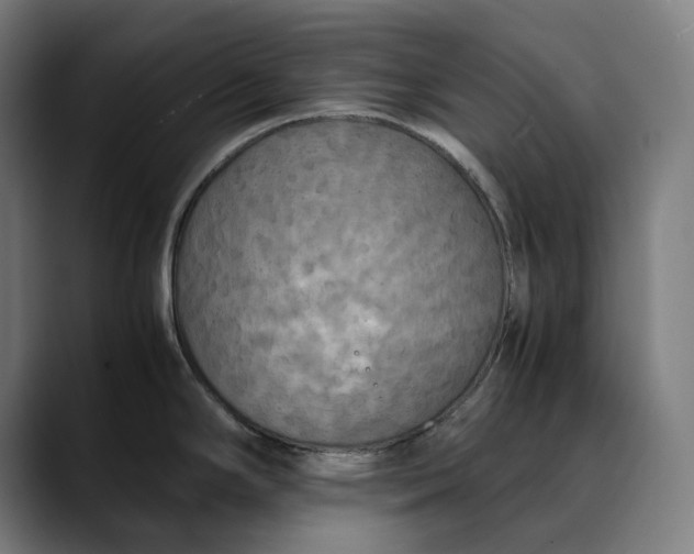 X0000089691294200707121329