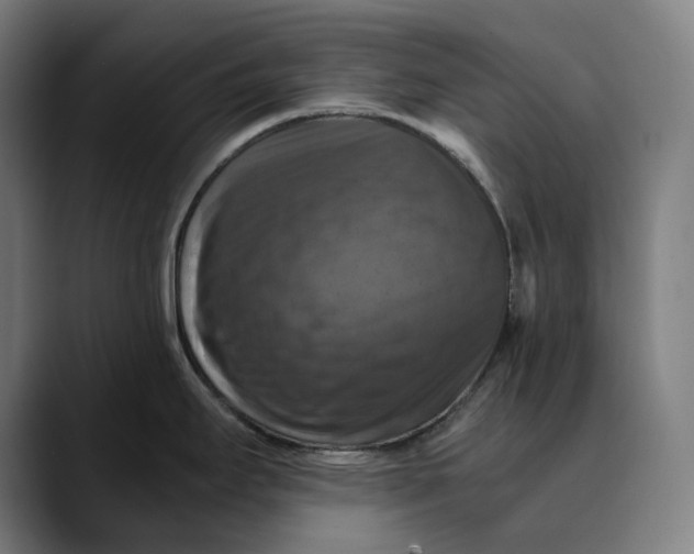 X0000089691295200707121329