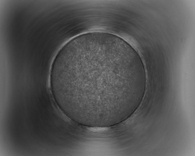 X0000089691296200707121329