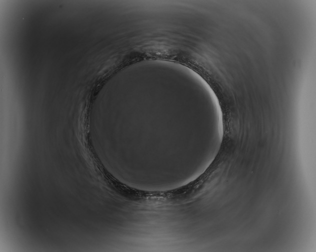 X0000089691297200707121329