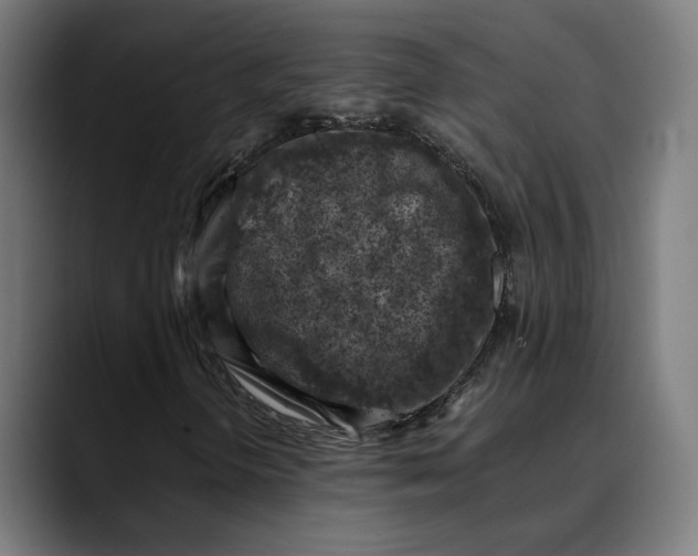 X0000089691298200707121329