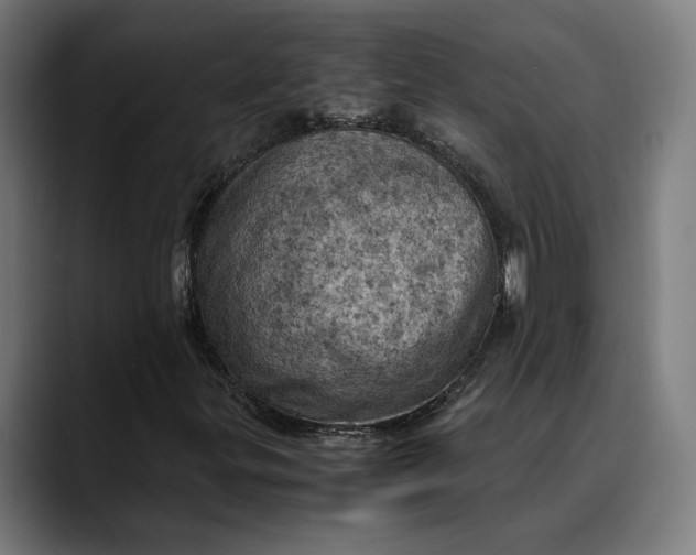 X0000089691299200707121329