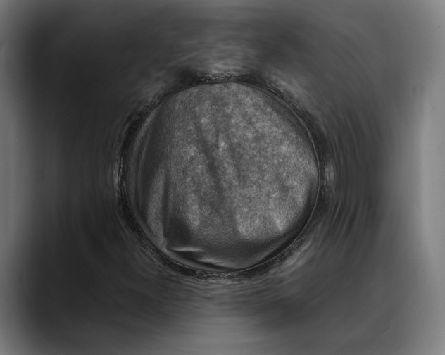 X0000089691300200707121329