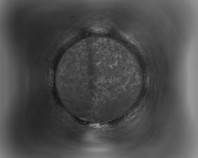 X0000089691301200707121329