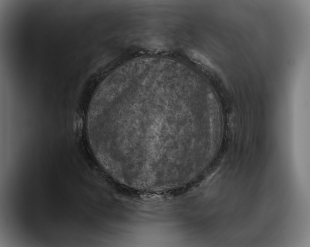 X0000089691302200707121329