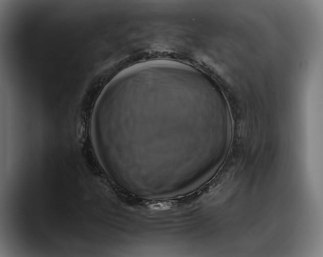 X0000089691303200707121329