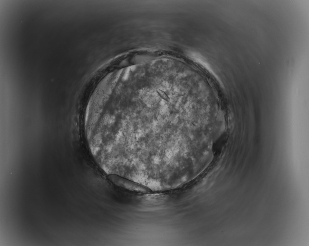 X0000089691304200707121329