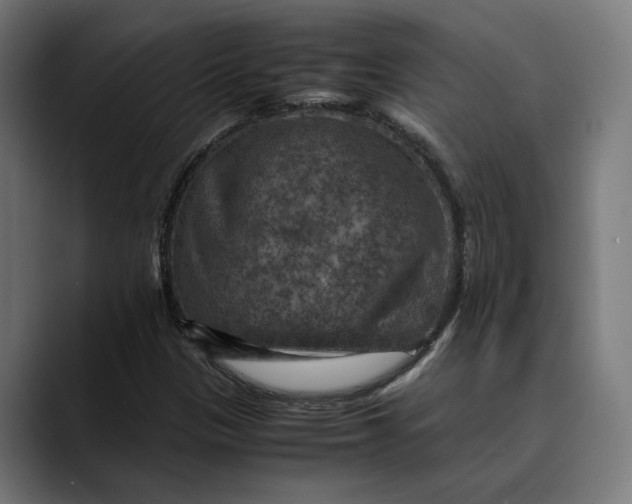 X0000089691305200707121329