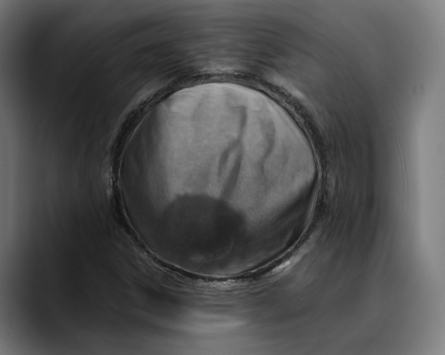 X0000089691306200707121329