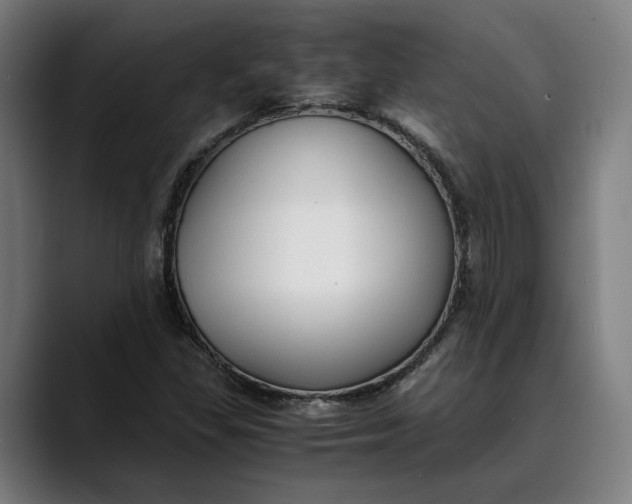 X0000089691309200707121329