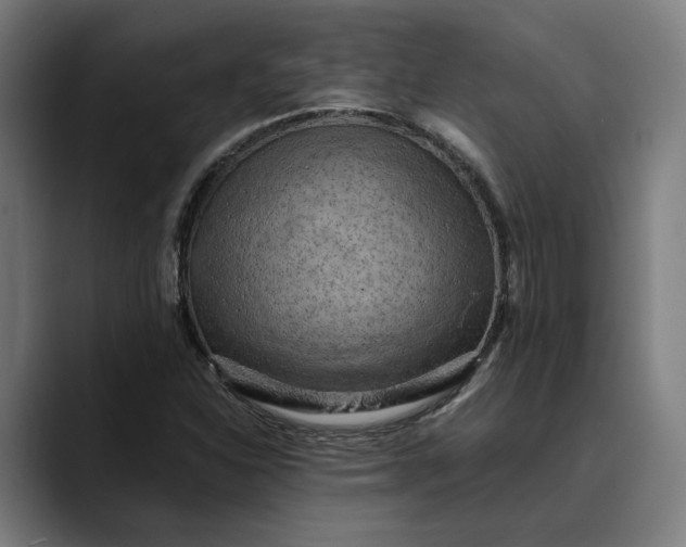 X0000089691310200707121329