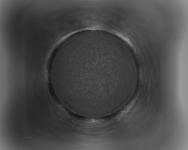 X0000089691311200707121329