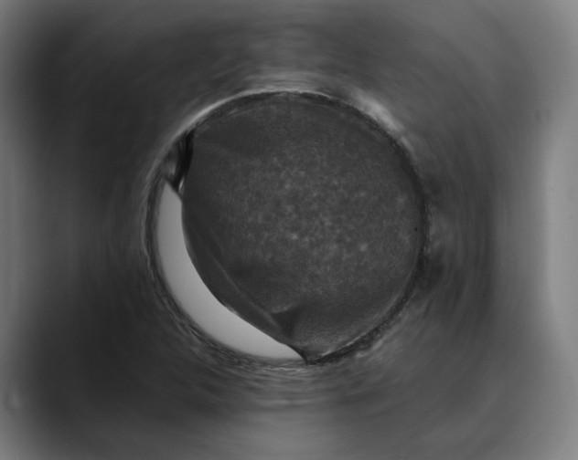 X0000089691312200707121329