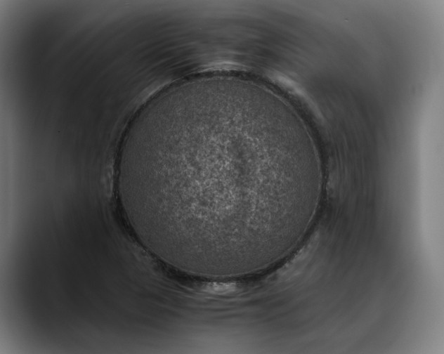 X0000089691313200707121329