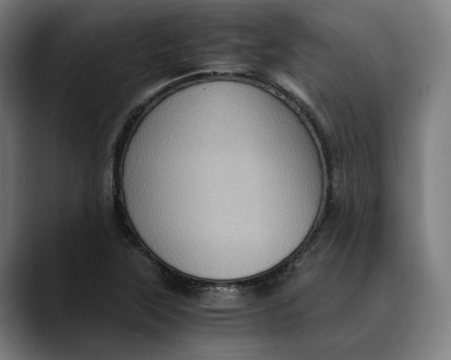 X0000089691315200707121329