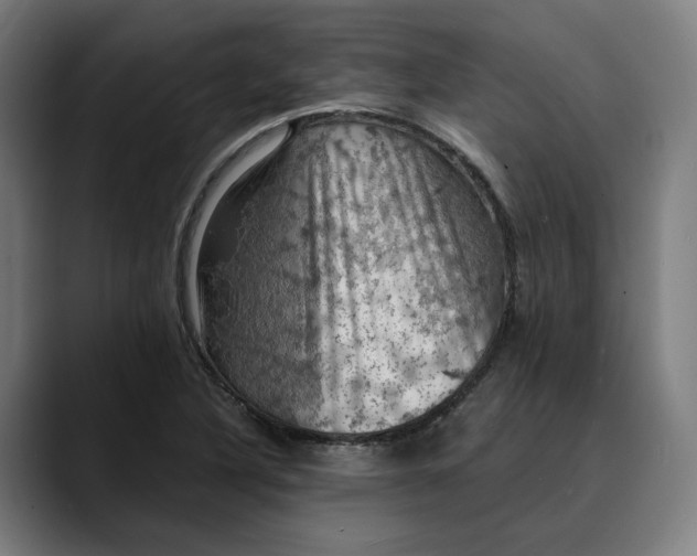 X0000089691316200707121329