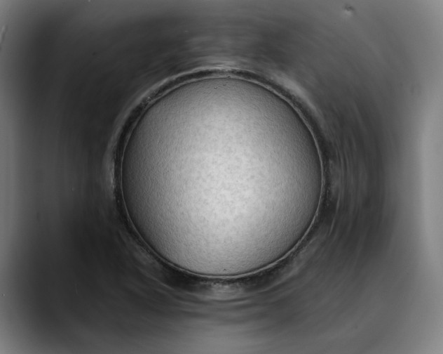 X0000089691318200707121329