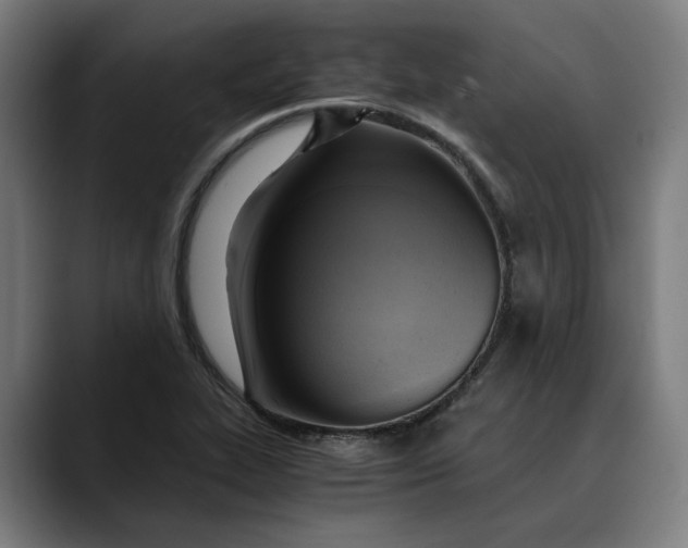 X0000089691319200707121329