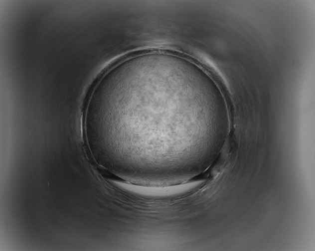 X0000089691320200707121329